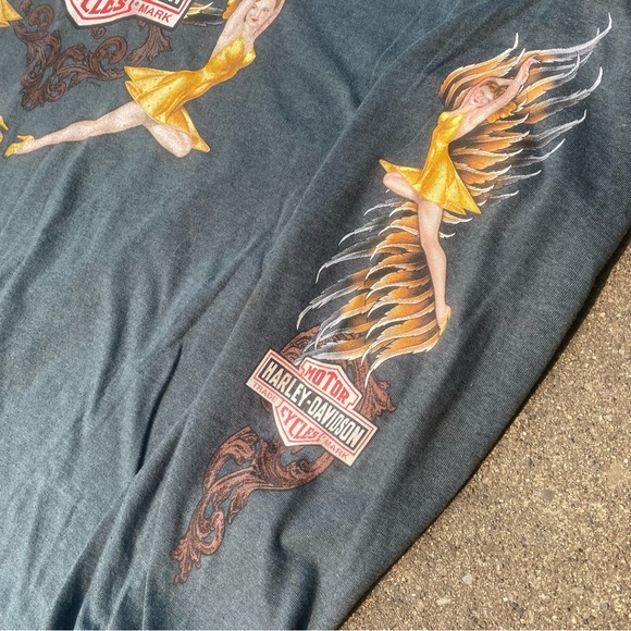 2009 Harley-Davidson Niagra Falls - Picture 5 of 7